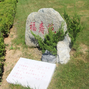 吉祥如意