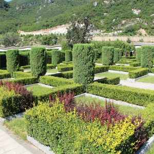 艺术自选区 荣华园区