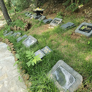 生态节地葬