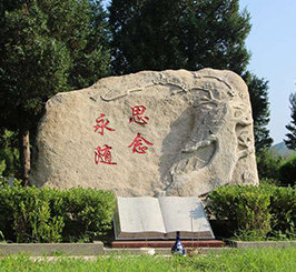 和敬园:绿化带自选地