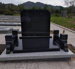 海棠园:海棠6号