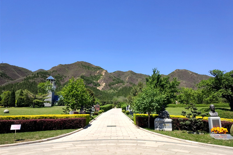 哪些单位或个人可以查阅或使用殡葬业务档案